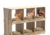 DIY Chicken Houses: 6 Affordable & Secure Coop Designs For Your Hens. DIY Chicken Houses