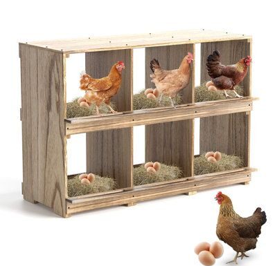 DIY Chicken Houses: 6 Affordable & Secure Coop Designs For Your Hens. DIY Chicken Houses