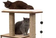 DIY Cat Tree: 8 Fun & Sturdy Designs for Your Feline Friend 🐱 DIY Cat Tree