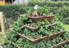 19 Must-Try Gardening & Outdoor DIY Projects. Gardening & Outdoor DIY